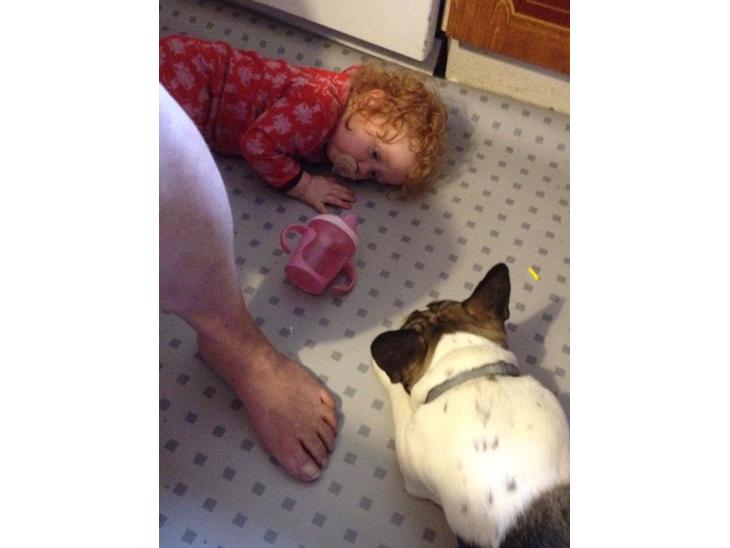 {{currentPhoto.altText}} billede {{currentPhoto.number}}