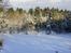 Vinter i Vendsyssel