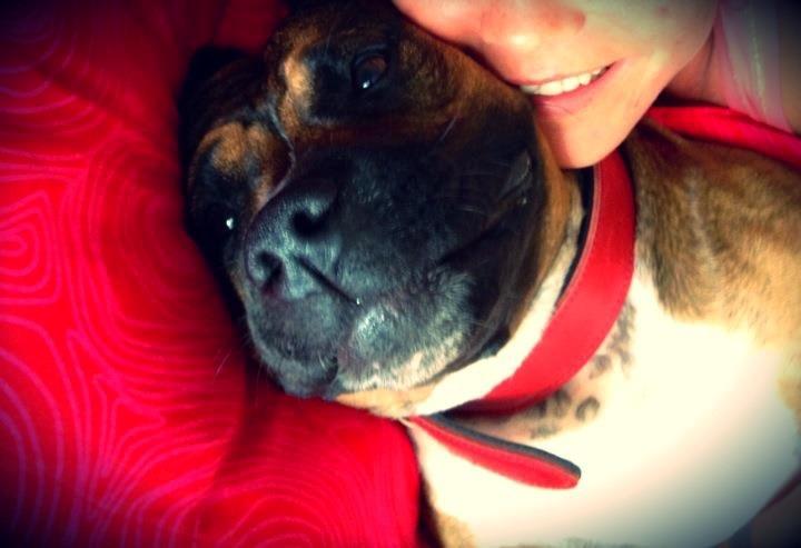 Min elskede skat :'( R.I.P. billede 12