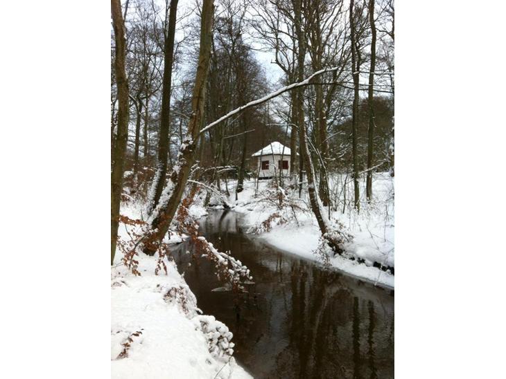 Vinter i Vendsyssel billede 0
