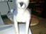 Uld Hund - Lola 