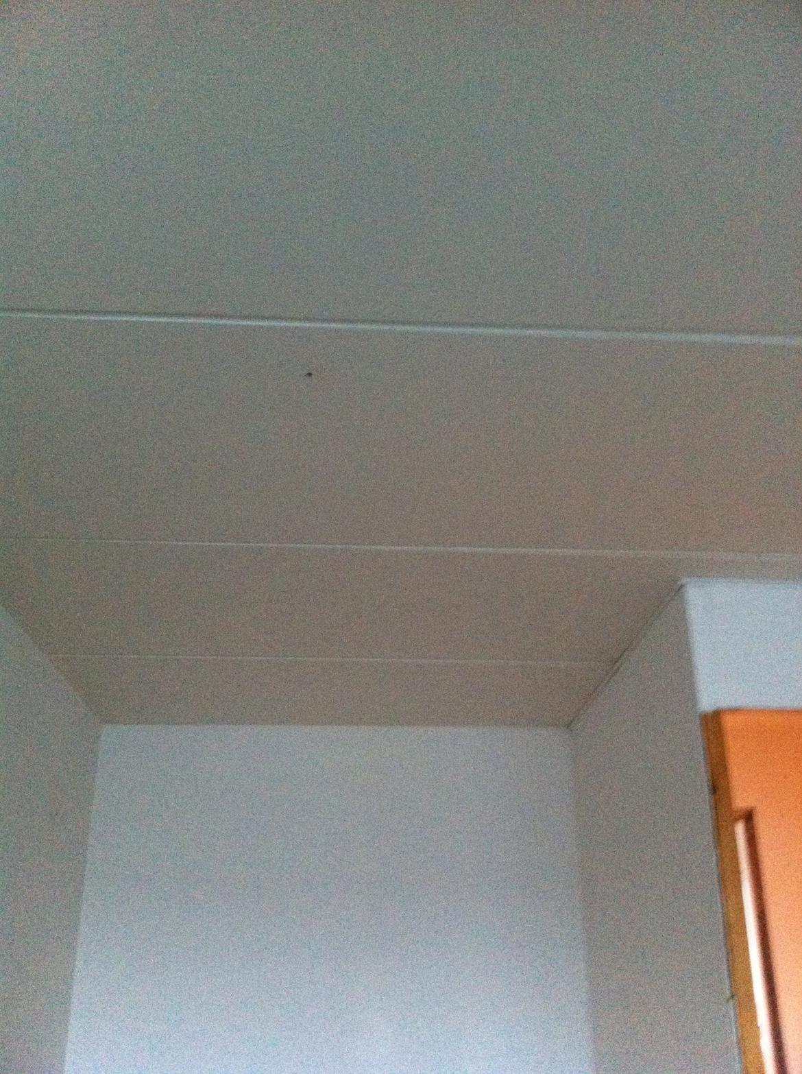 Lejlighed - renovering - Loftet. Sådan ser det ud i hele lejligheden. Skal skænkes i køkken/bad/gang og have spot. I resten af lejligheden bliver hullerne fyldt ud.. billede 15