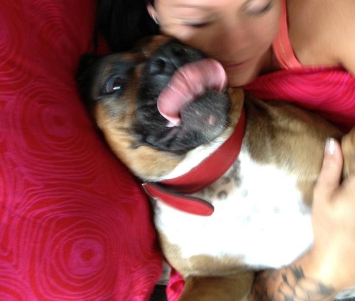 Min elskede skat :'( R.I.P. billede 21