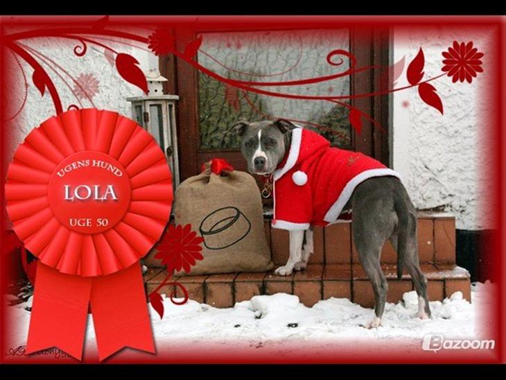 {{currentPhoto.altText}} billede {{currentPhoto.number}}