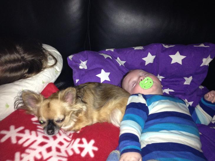 {{currentPhoto.altText}} billede {{currentPhoto.number}}