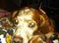 Chiko <3 