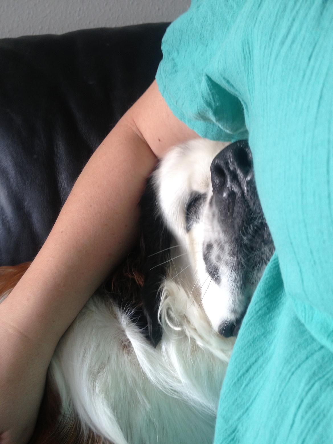 Nye billeder af Odin billede 3