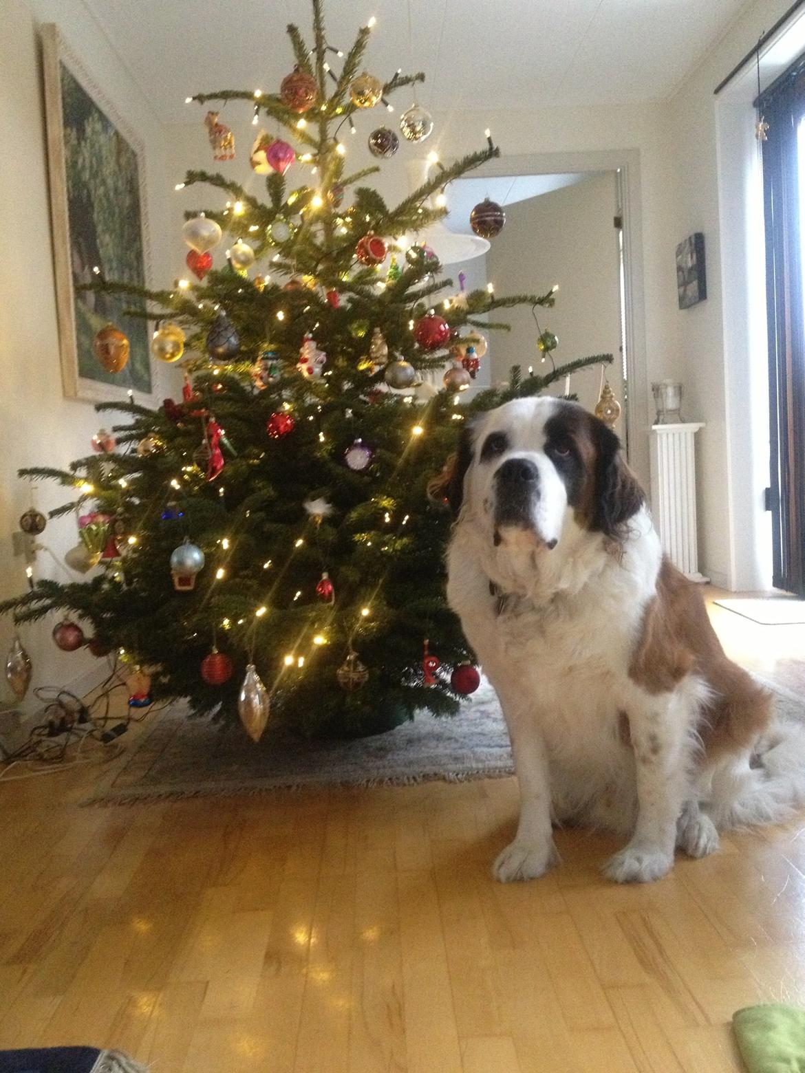 Nye billeder af Odin billede 2