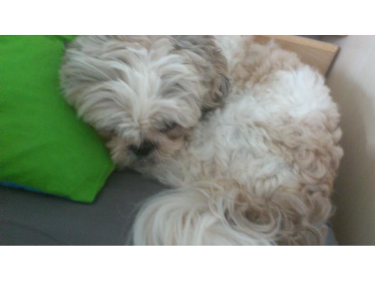 {{currentPhoto.altText}} billede {{currentPhoto.number}}