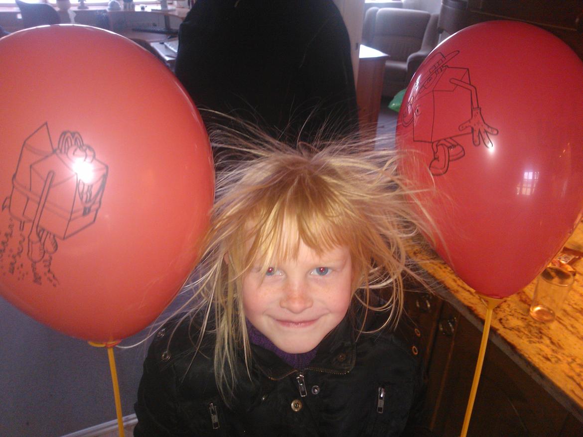 hunde udstilling med grand kusine og fætter billede 1