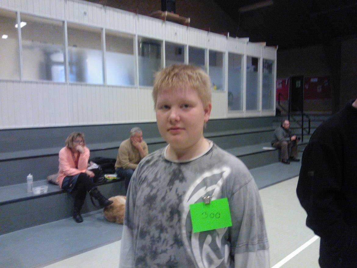 hunde udstilling med grand kusine og fætter billede 2