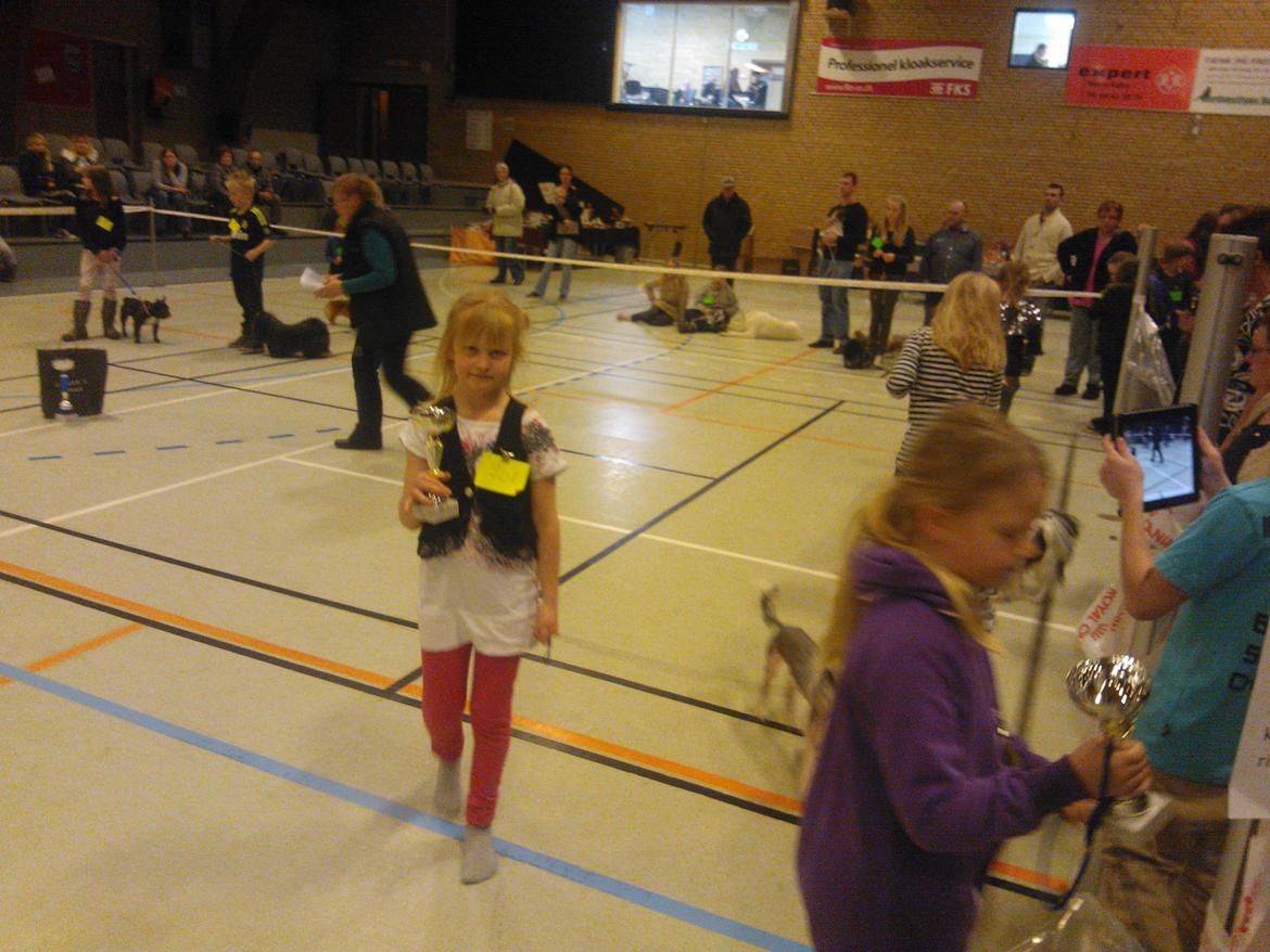 hunde udstilling med grand kusine og fætter billede 21