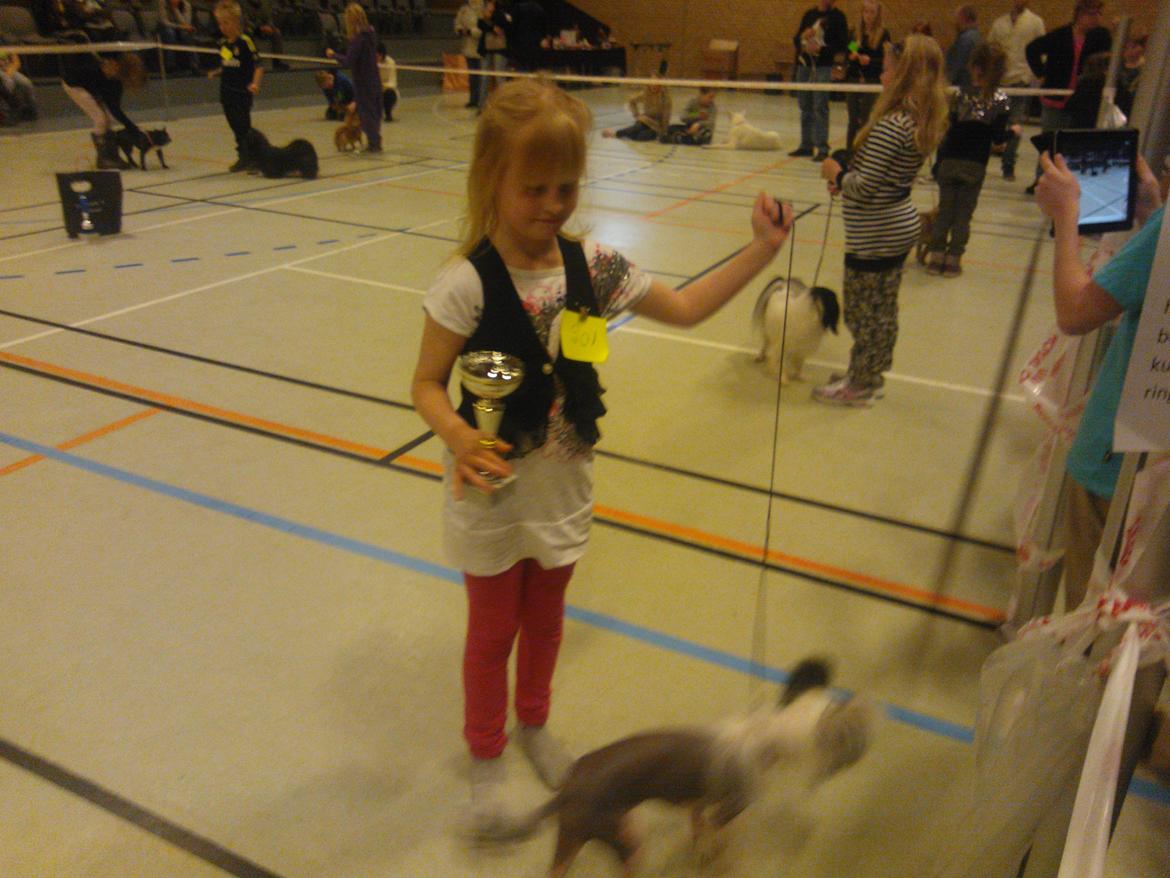 hunde udstilling med grand kusine og fætter billede 22