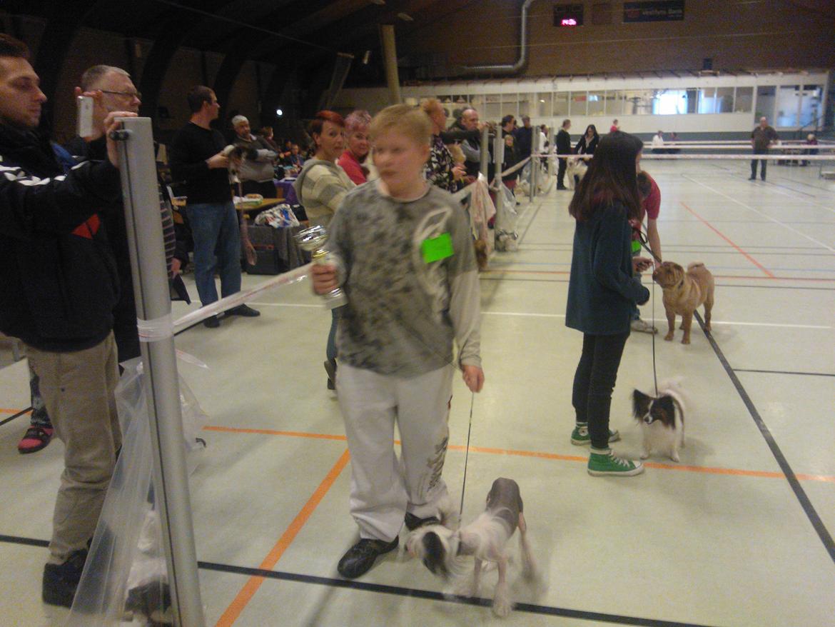 hunde udstilling med grand kusine og fætter billede 28