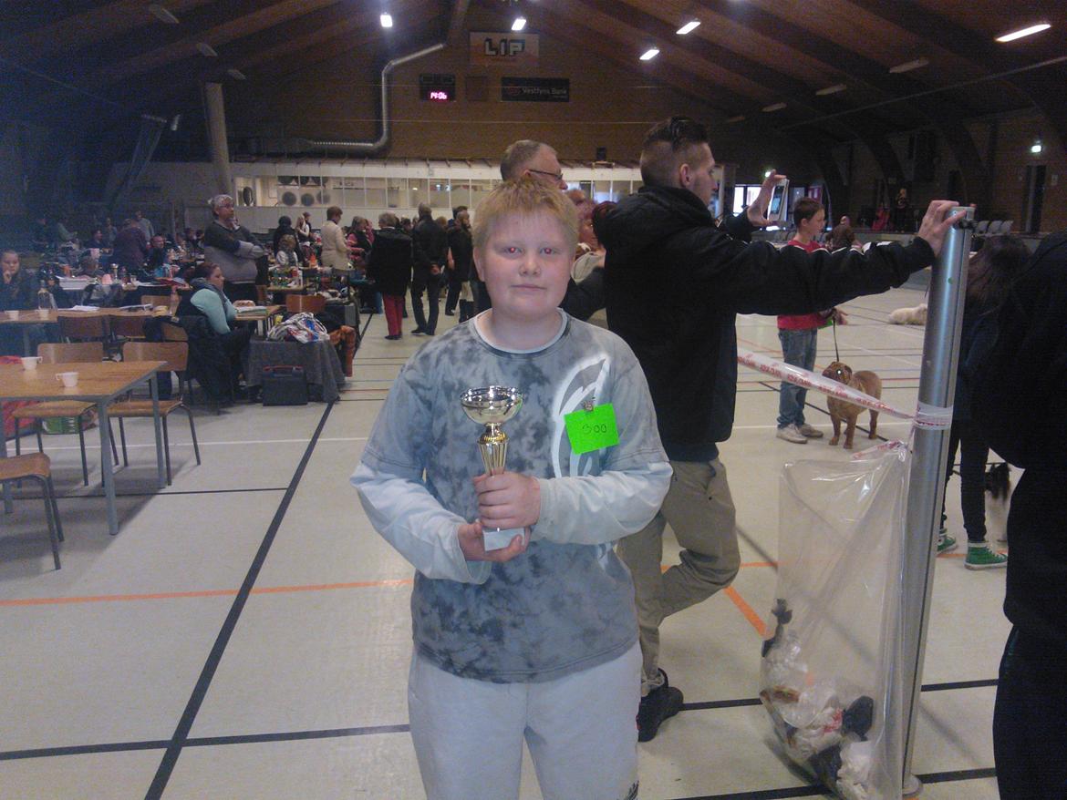 hunde udstilling med grand kusine og fætter billede 29