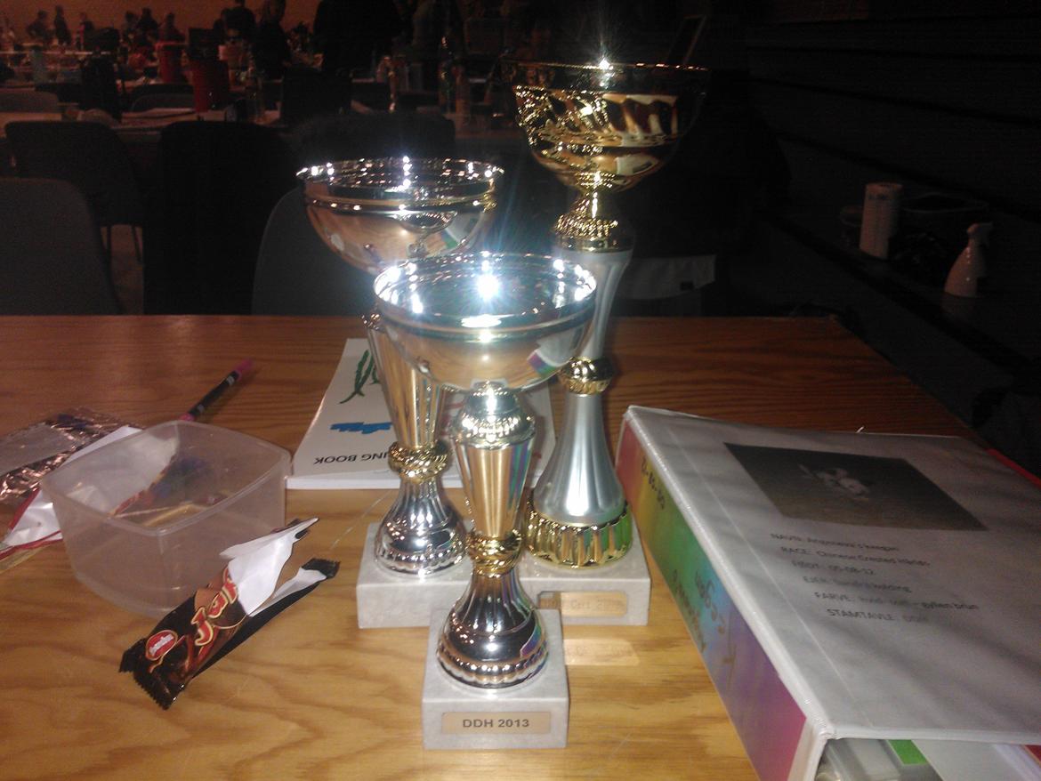 hunde udstilling med grand kusine og fætter billede 31