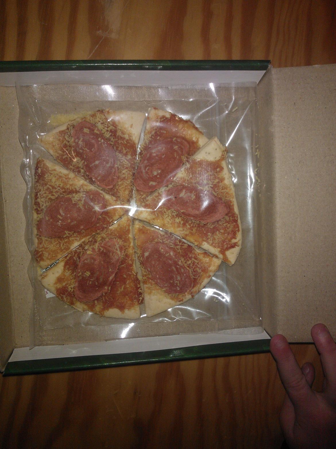 hunde udstilling med grand kusine og fætter billede 38