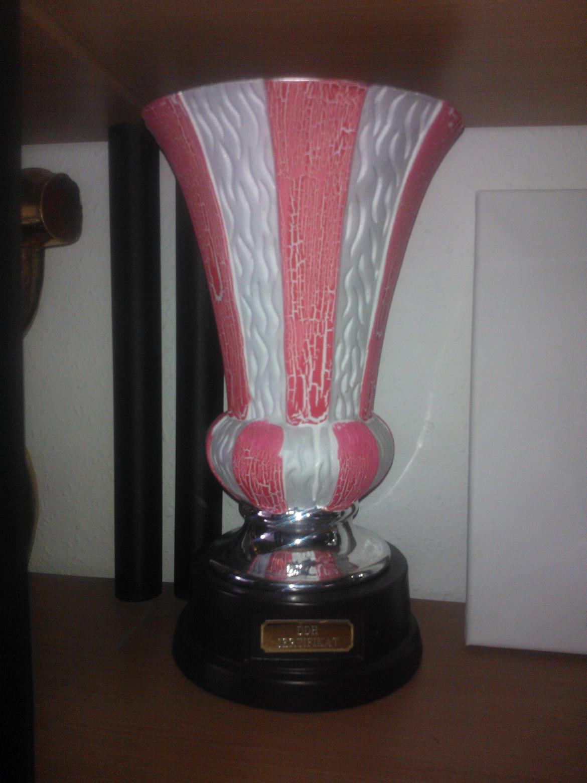 hunde udstilling med grand kusine og fætter billede 41