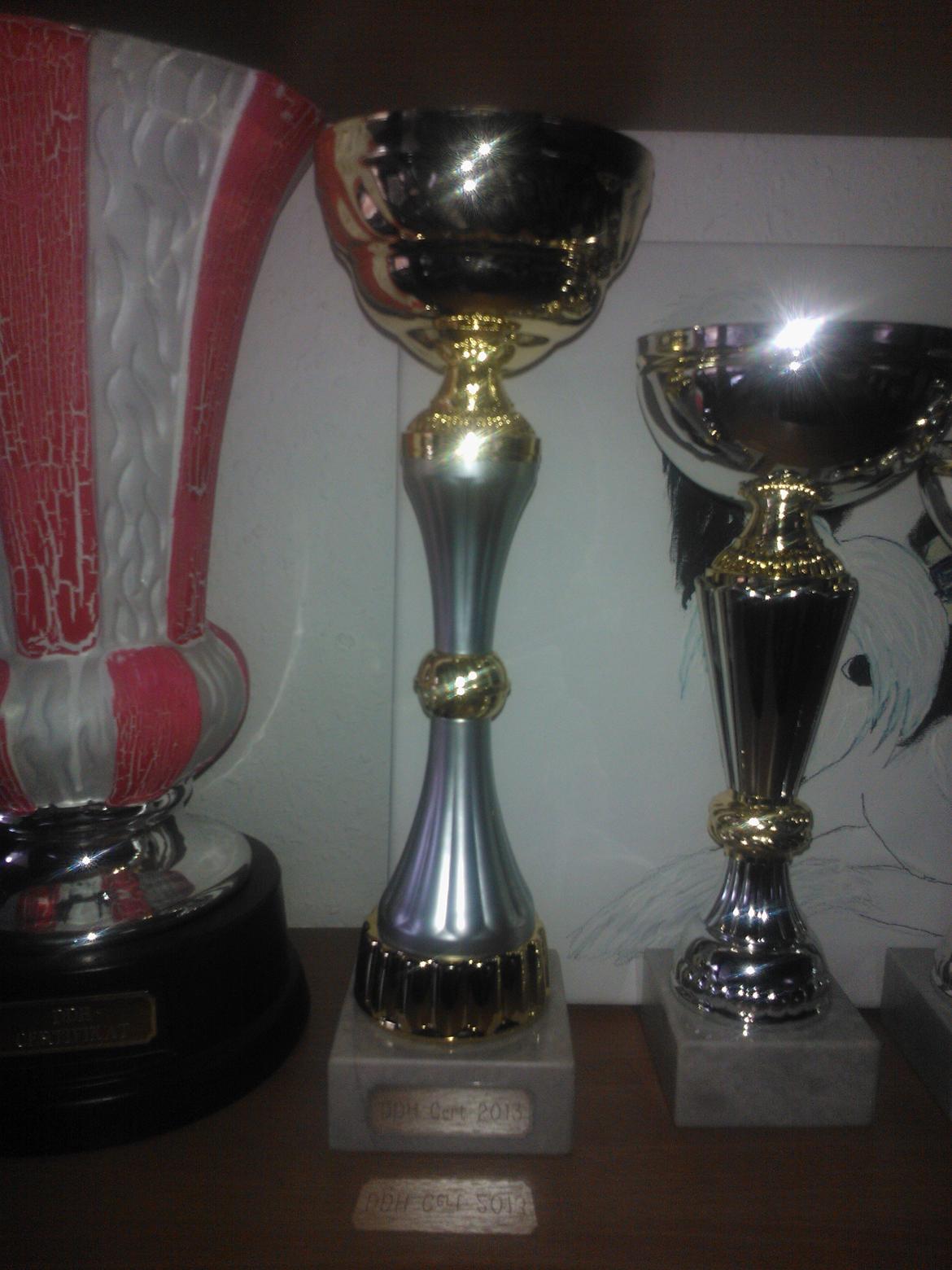 hunde udstilling med grand kusine og fætter billede 42