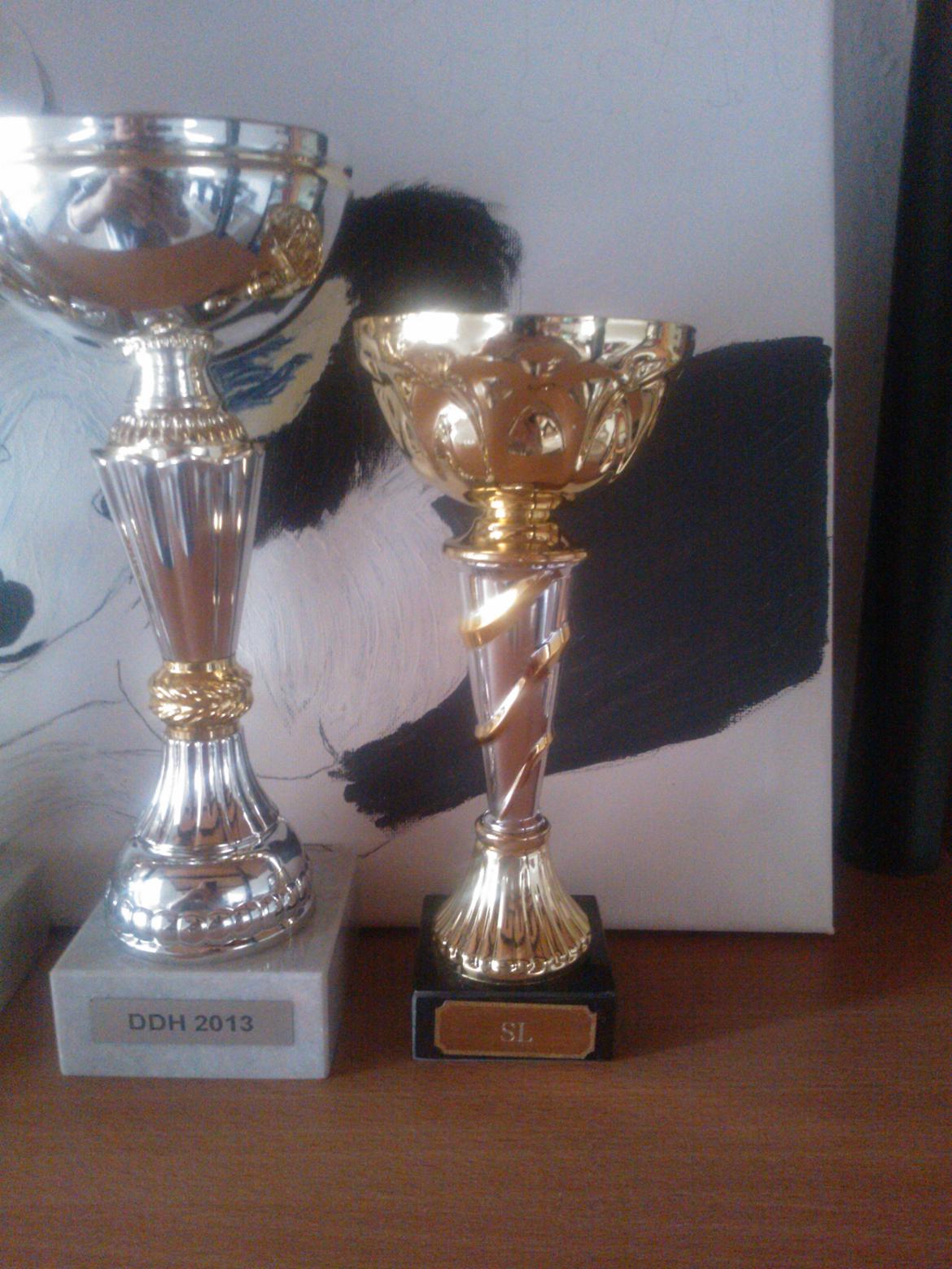 hunde udstilling med grand kusine og fætter billede 46