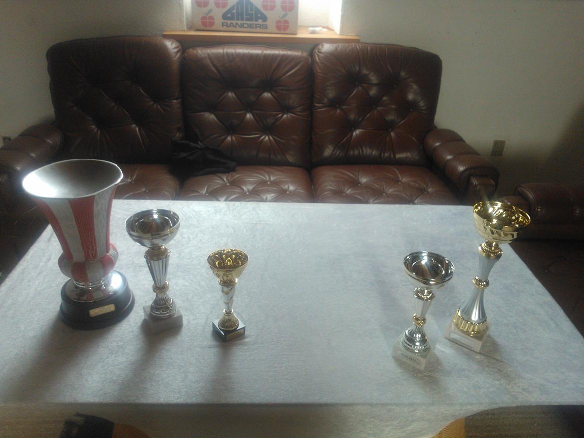 hunde udstilling med grand kusine og fætter billede 48