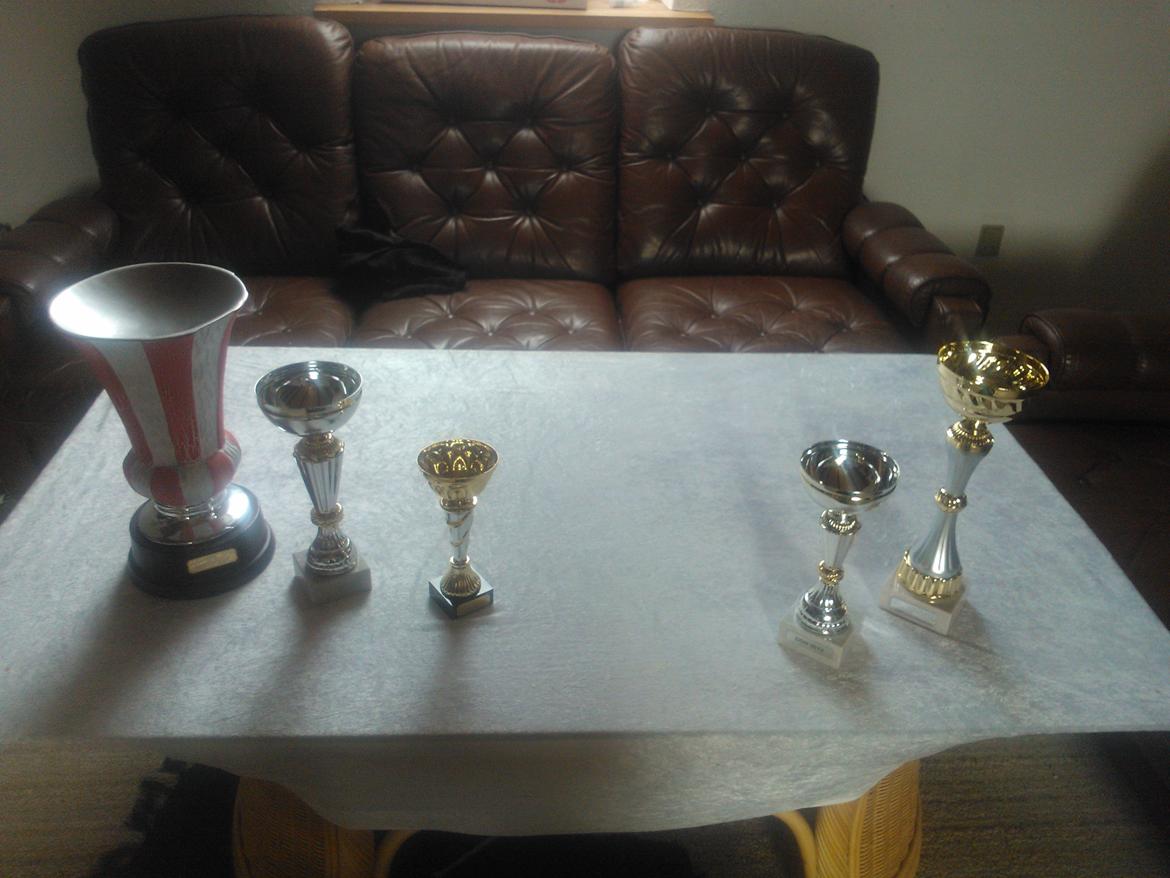 hunde udstilling med grand kusine og fætter billede 49