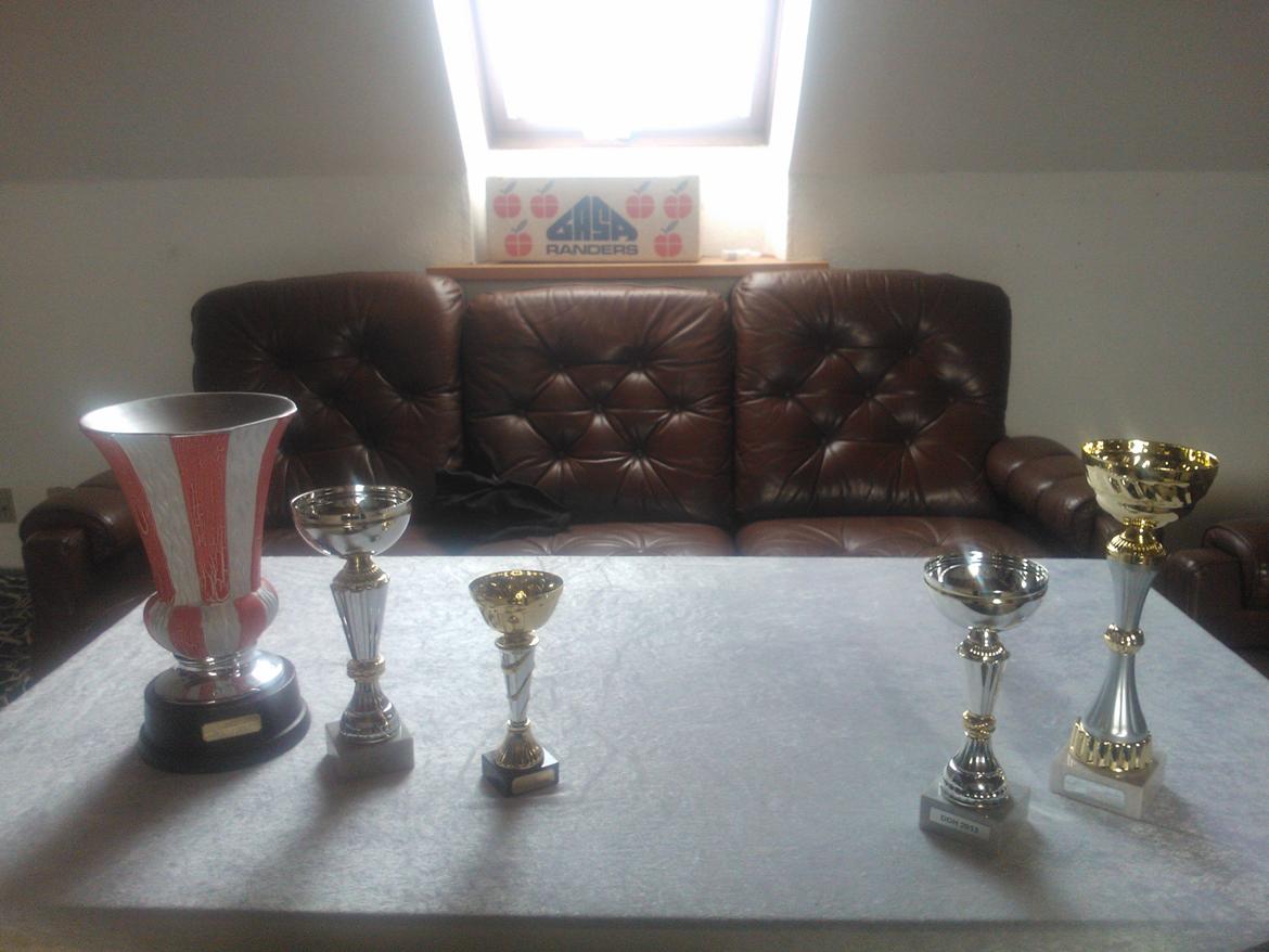 hunde udstilling med grand kusine og fætter billede 50