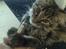 Katte.