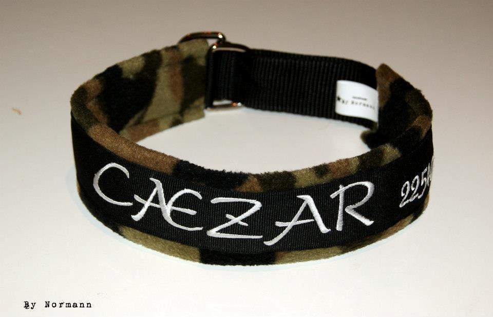 Halsbånd med tekst/navn - 40mm sort webbing - camouflage fleece - sort pyntebånd - hvid tråd til navn samt tlf. nr. min. 49 max 57cm billede 11