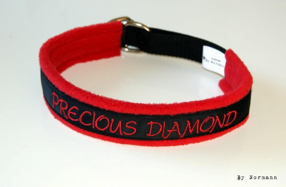 Halsbånd med tekst/navn - 
25mm sort webbing - 25mm d-ringe - rød fleece - sort bånd - rød tråd til tekst billede 14