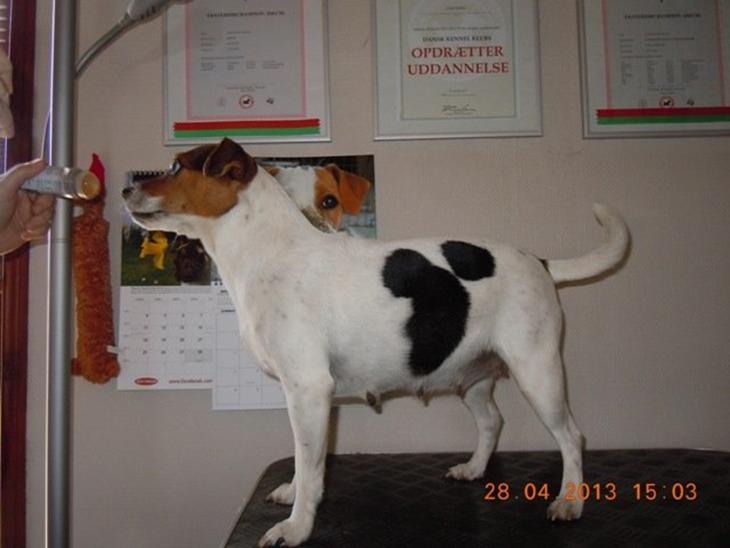 {{currentPhoto.altText}} billede {{currentPhoto.number}}