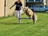 Agility med Alex