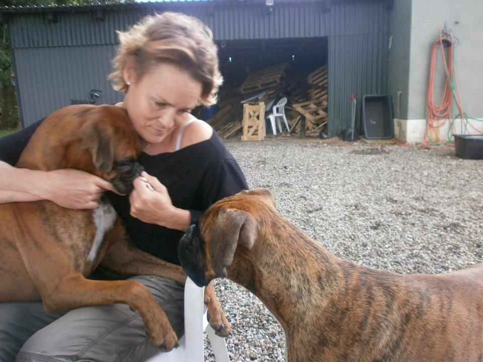 mig og nogen af de hunde jeg endten ejer eller har hjuipet videre  billede 3