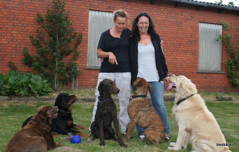 mig og nogen af de hunde jeg endten ejer eller har hjuipet videre  billede 6