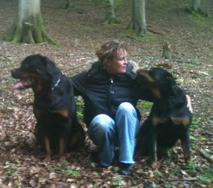 mig og nogen af de hunde jeg endten ejer eller har hjuipet videre  billede 9