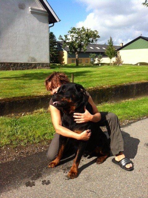 mig og nogen af de hunde jeg endten ejer eller har hjuipet videre  billede 10
