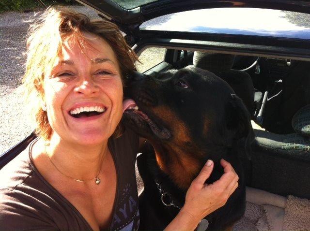 mig og nogen af de hunde jeg endten ejer eller har hjuipet videre  billede 11