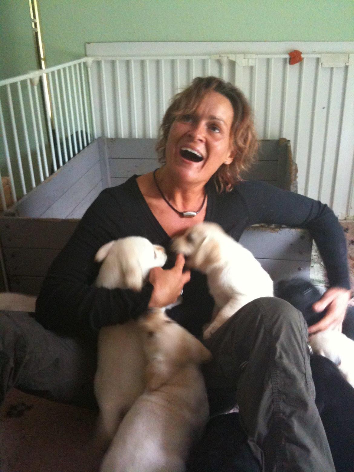 mig og nogen af de hunde jeg endten ejer eller har hjuipet videre  billede 13