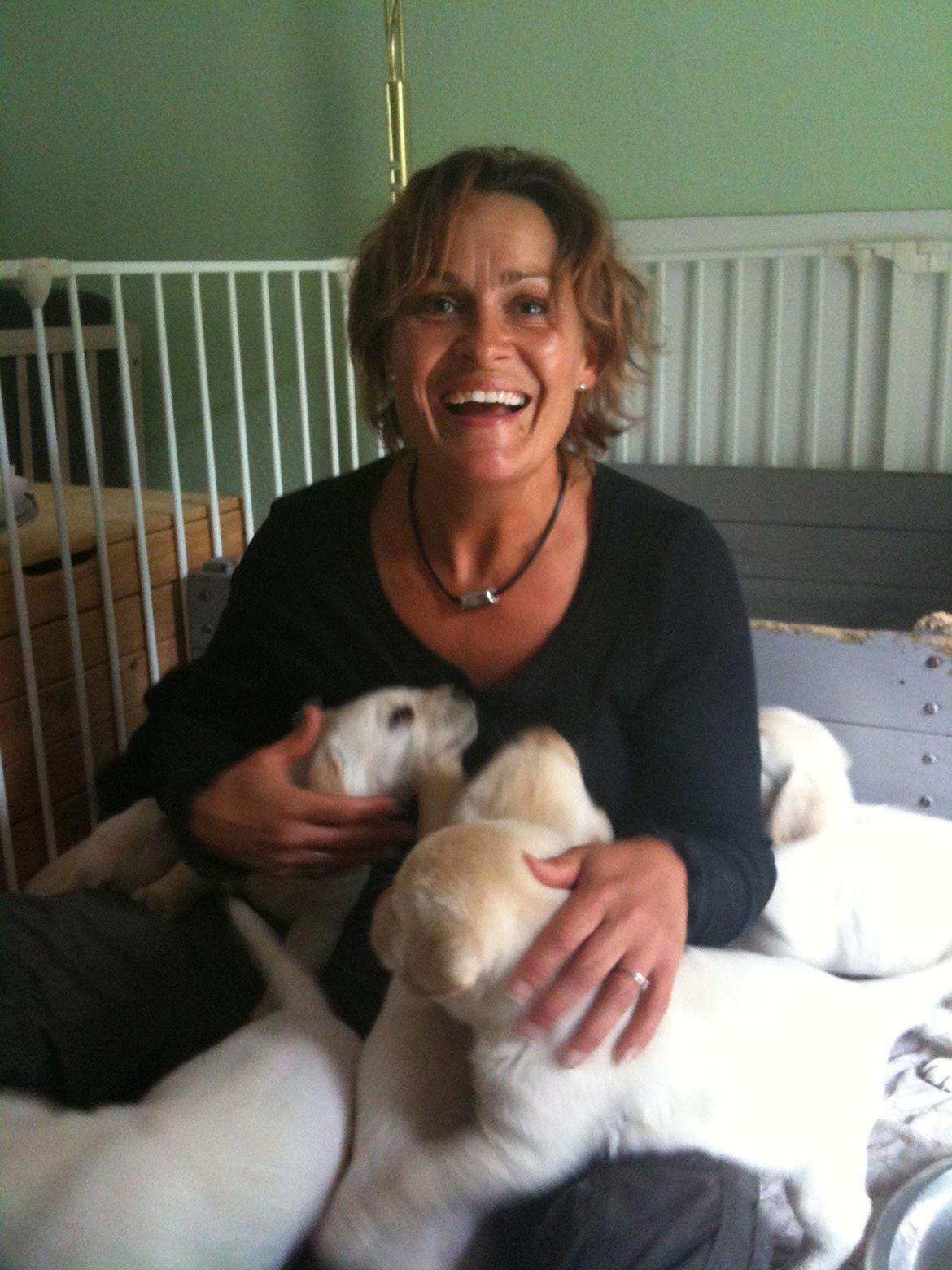 mig og nogen af de hunde jeg endten ejer eller har hjuipet videre  billede 14