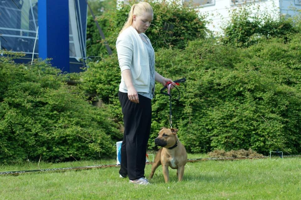 Elo`s HundeLiv billede 41