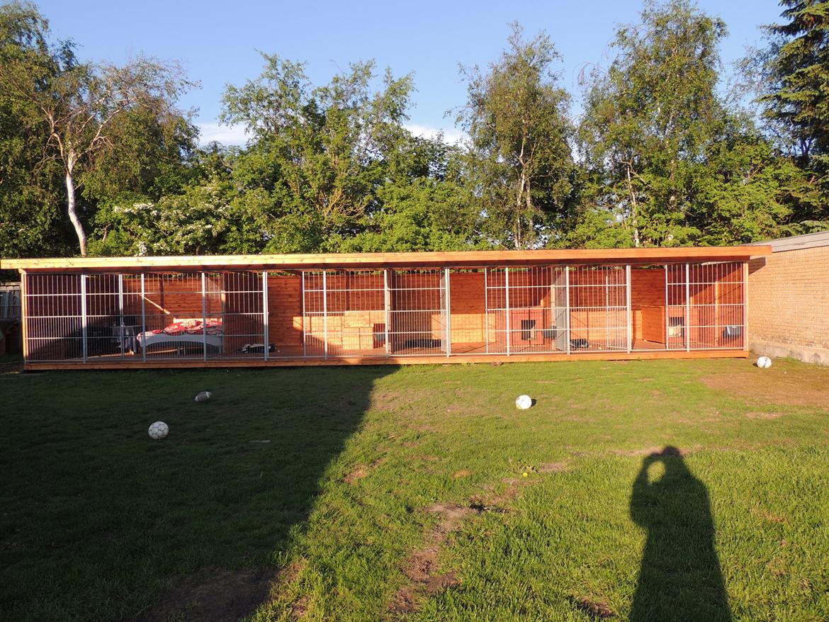 Den nye luksus hundegårde :) Hjemmelavet self. billede 2