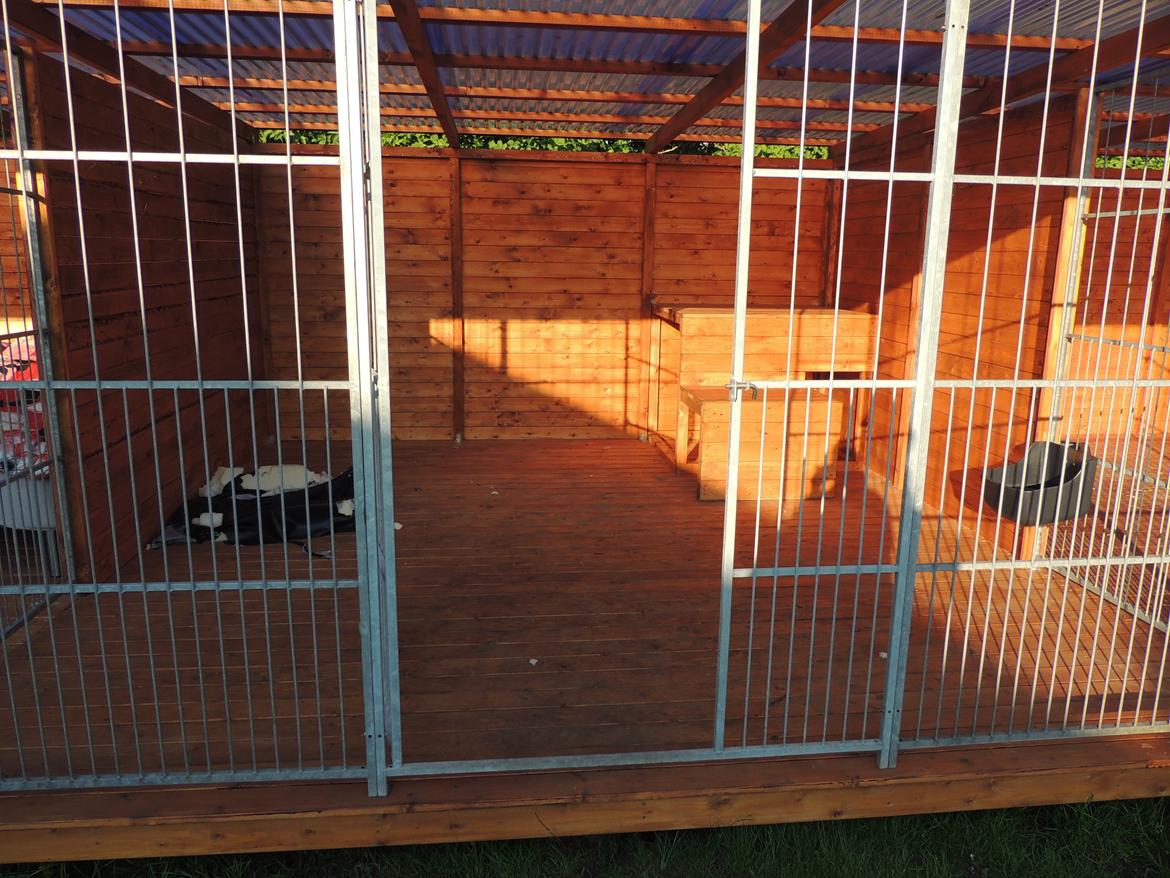 Den nye luksus hundegårde :) Hjemmelavet self. billede 4
