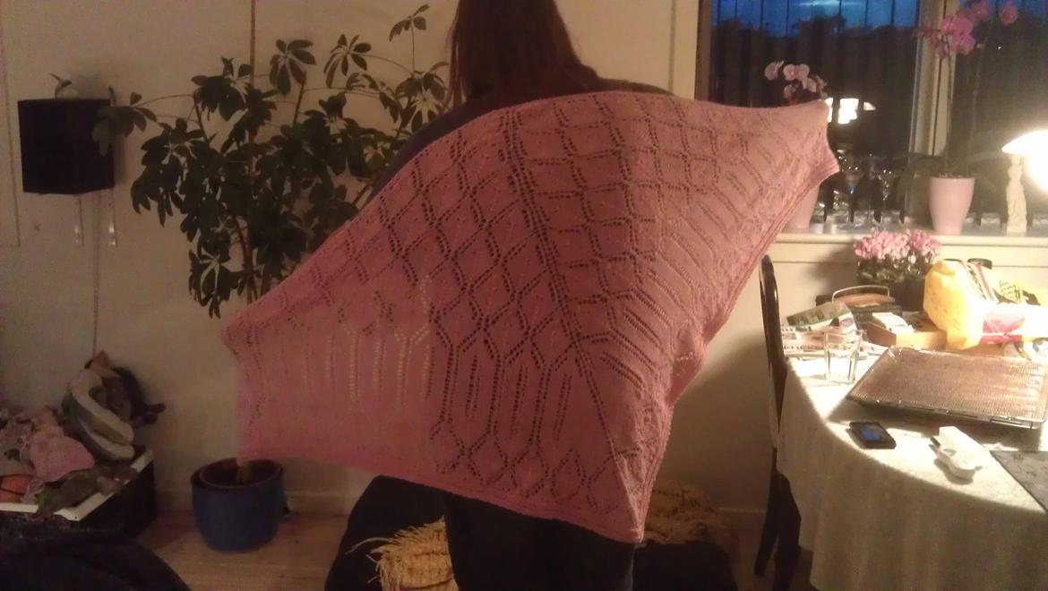 Mine hæklerier/strikkerier - Strikket sjal billede 22