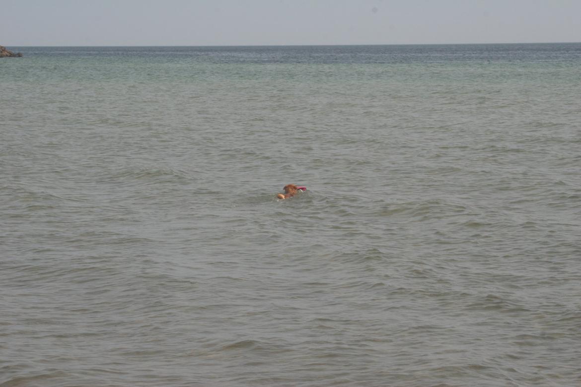 Ishøj Strand billede 46