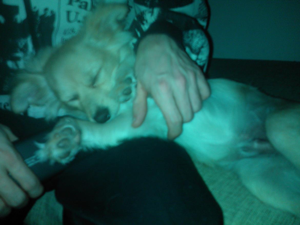 Min dejlige Gizmand - Putte babyen Giz billede 4