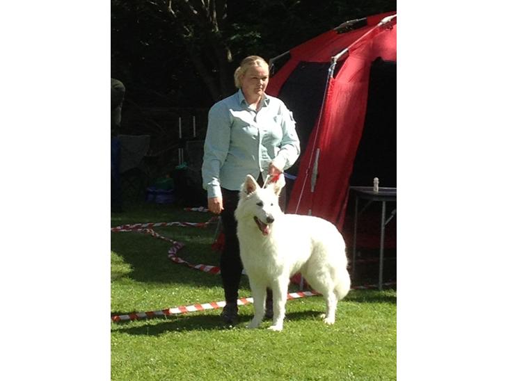 {{currentPhoto.altText}} billede {{currentPhoto.number}}