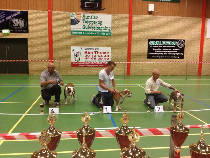 {{currentPhoto.altText}} billede {{currentPhoto.number}}