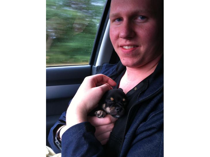 {{currentPhoto.altText}} billede {{currentPhoto.number}}