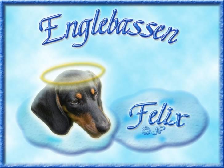 Andres hunde 1 - Engle - Gravhunden Felix som englebasse billede 20