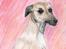 Mine (hunde)tegninger - En af mine absolt ynglingshunderacer, Whippet :D Igen en fantastisk race, der absolut ligger på min "top 10" ;)